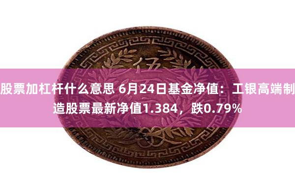 股票加杠杆什么意思 6月24日基金净值：工银高端制造股票最新净值1.384，跌0.79%