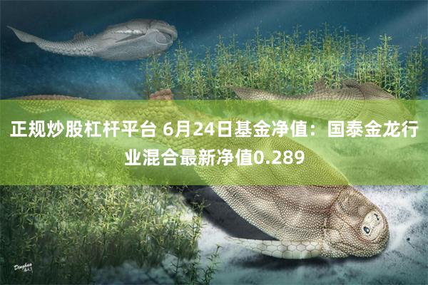 正规炒股杠杆平台 6月24日基金净值：国泰金龙行业混合最新净值0.289