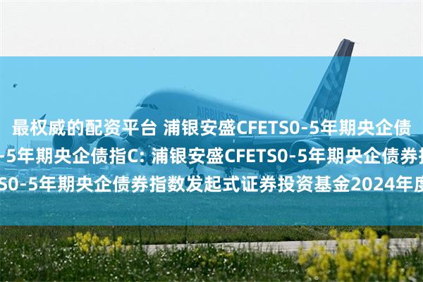 最权威的配资平台 浦银安盛CFETS0-5年期央企债指A,浦银安盛CFETS0-5年期央企债指C: 浦银安盛CFETS0-5年期央企债券指数发起式证券投资基金2024年度分红公告