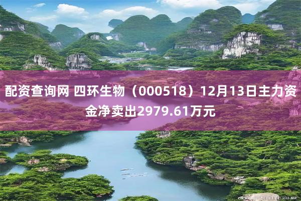 配资查询网 四环生物（000518）12月13日主力资金净卖出2979.61万元