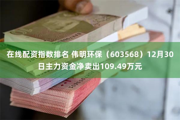 在线配资指数排名 伟明环保（603568）12月30日主力资金净卖出109.49万元