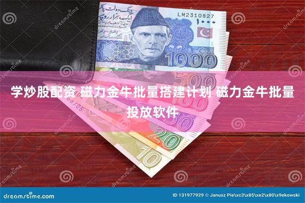 学炒股配资 磁力金牛批量搭建计划 磁力金牛批量投放软件