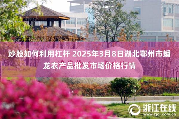 炒股如何利用杠杆 2025年3月8日湖北鄂州市蟠龙农产品批发市场价格行情